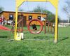 Zwergpinscher Foto: Rusty in Action (ID 13853) Zwergpinscher Hund