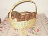 Zwergpinscher Foto: allevamento del Serrone (ID 3500) Zwergpinscher Hund