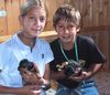Zwergpinscher Foto: Unser E-Wurf hat Besuch (ID 6800) Zwergpinscher Hund