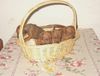 Zwergpinscher Foto: cuccioli di 40gg (ID 6446) Zwergpinscher Hund