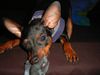 Zwergpinscher Foto: Lucky mit 9 Monaten (ID 10579) Zwergpinscher Hund