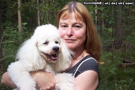 Zwergpudel Hunde Foto 3958 Zwergpudel Unser weißer Zwergpudel Nicky