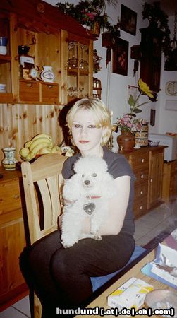 Zwergpudel Hunde Foto 11517 Zwergpudel Das ist mein Schatz Donki