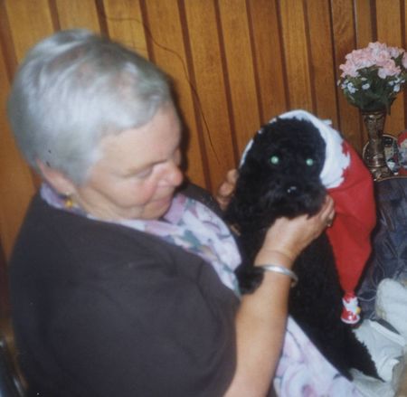 Zwergpudel Hunde Foto 2129 Zwergpudel Meine Tante und Jimmy