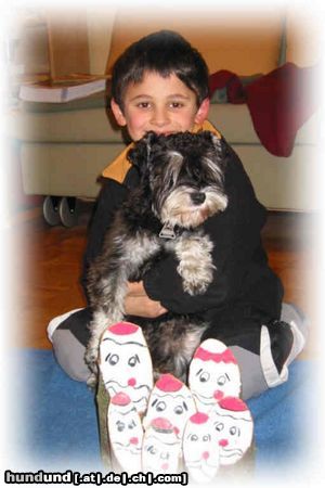 Zwergschnauzer Hunde Foto 17169 Zwergschnauzer Lolli u. Julian wünschen frohe Weihnachten