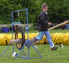 Zwergschnauzer Foto: Grenzi Elsa Garbo - in action: agility (ID 32049) Zwergschnauzer Hund