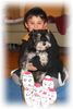 Zwergschnauzer Foto: Lolli u. Julian wünschen frohe Weihnachten (ID 17169) Zwergschnauzer Hund