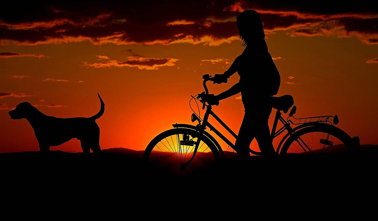 Fahrrad Hund Radtour