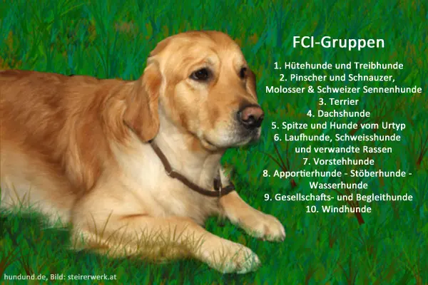 FCI-Gruppen Einteilung Hunde