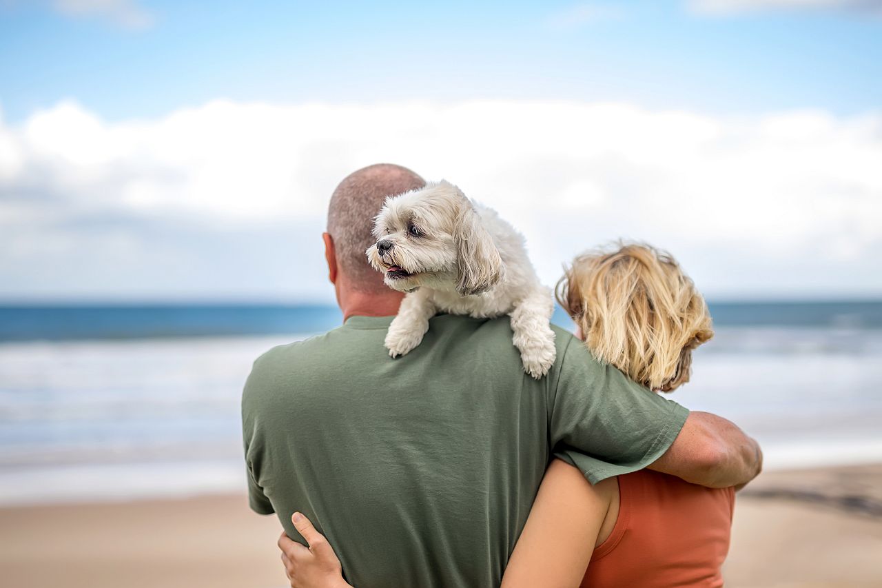 Ferienhaus Hund Nordsee