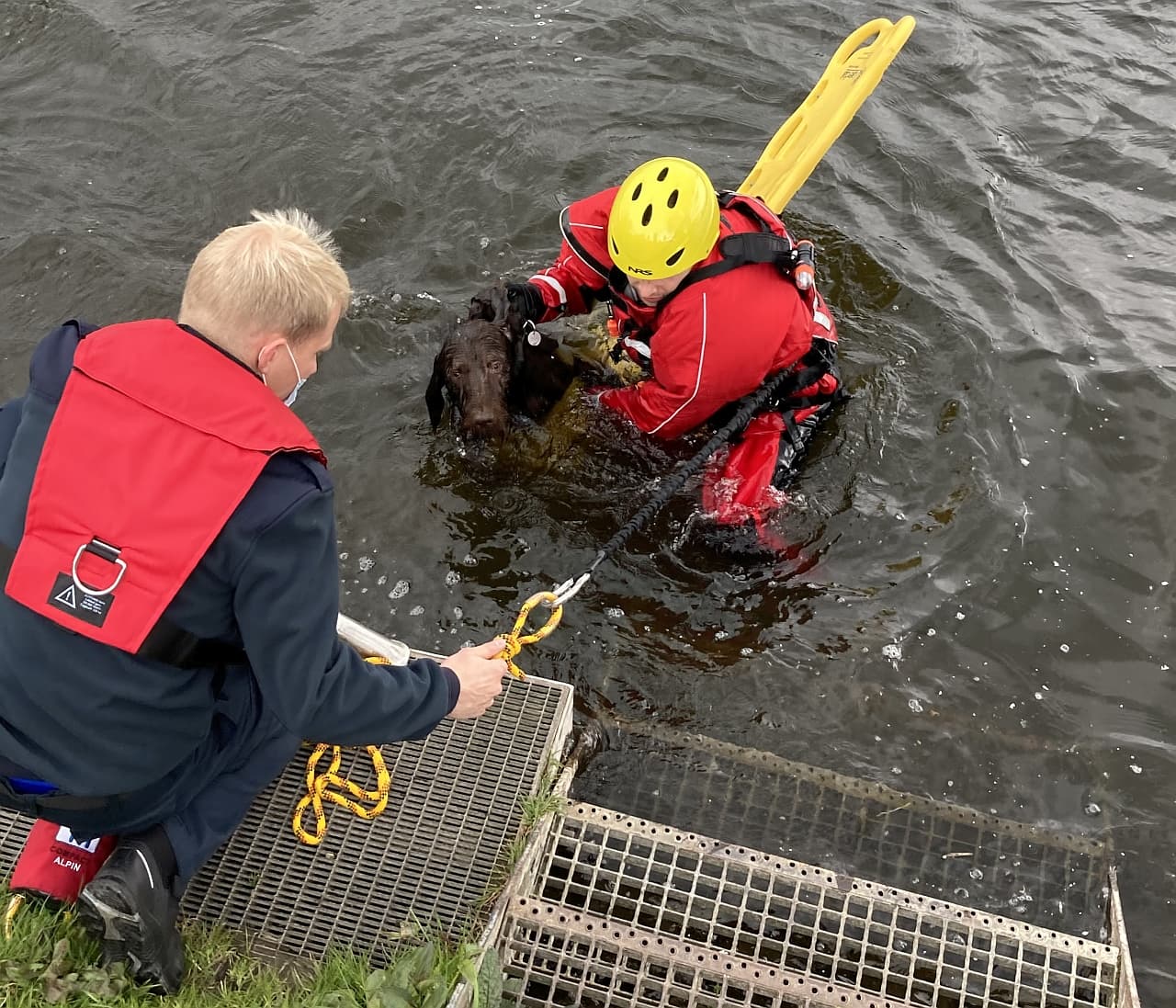 Feuerwehr rettet Hund aus der Ruhr