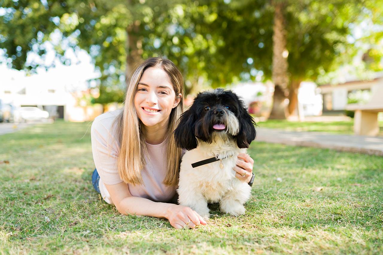 Sachkundenachweis für Hundehaltung