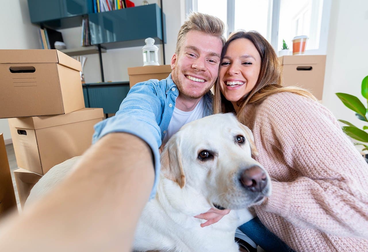 Hund Wohnung einziehen