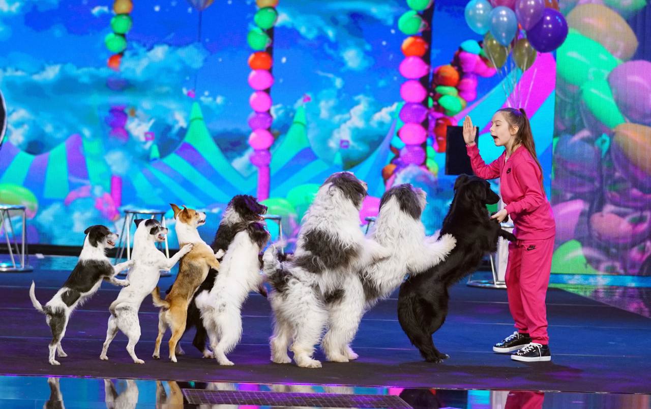 Hunde gewinnen Supertalent RTL Show