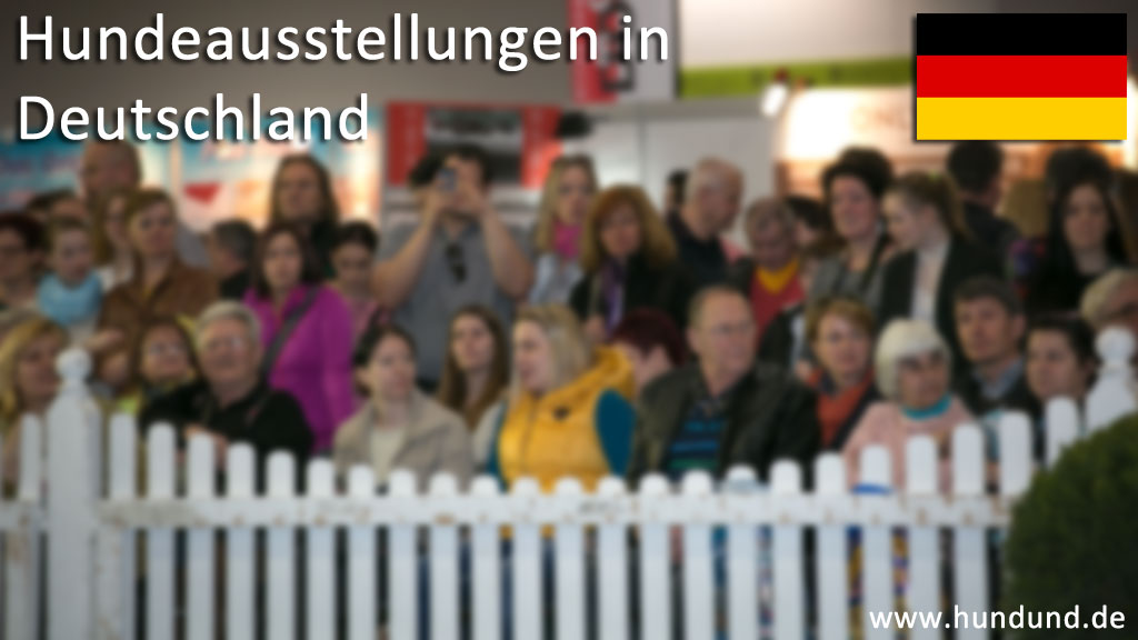Hundeausstellungen Deutschland