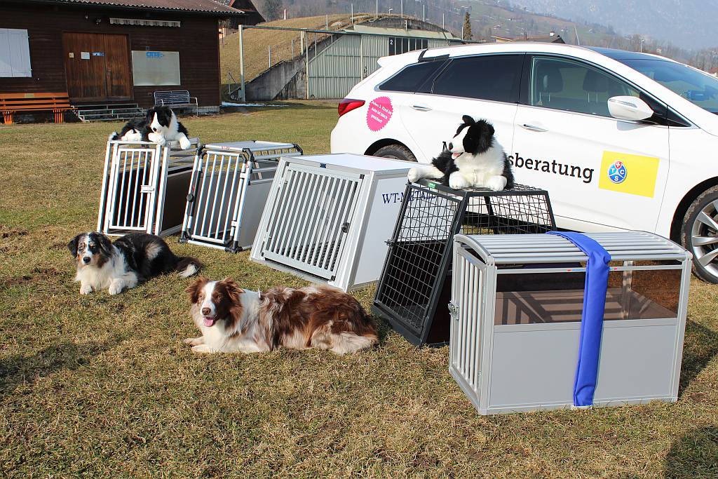 Welche Hundebox Furs Auto Hundeboxen Test Ratgeber Hundund De