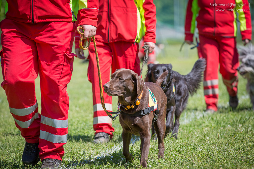 Rettungshundeausbildung