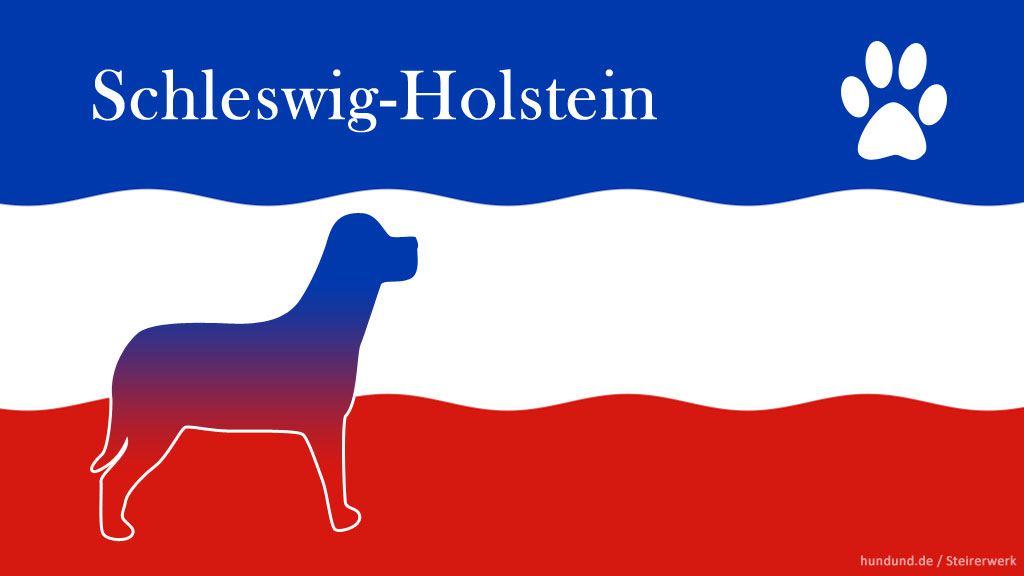Schleswig-Holstein Deutschland Hundehalter Pflichten