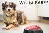 Was ist BARF?