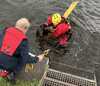Feuerwehr rettet Hund aus der Ruhr Feuerwehr rettet Hund aus der Ruhr
