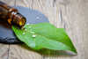 Homöopathie für Hunde Homöopathie für Hunde