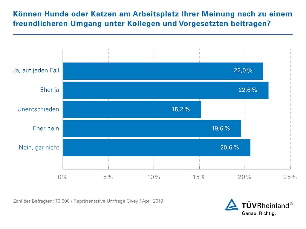 Umfrage Hund am Arbeitsplatz