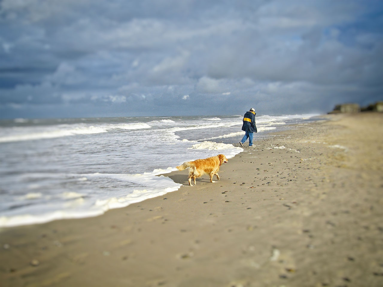 Urlaub mit Hund in Dänemark