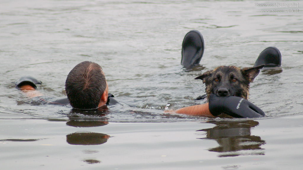 Wassersuchhund rettet Menschen