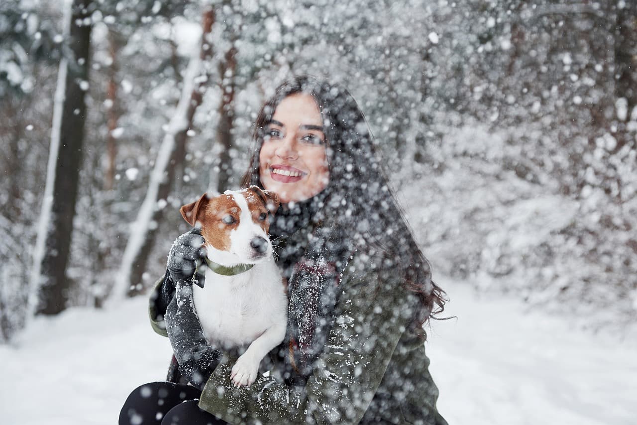 Winter Hund im Schnee