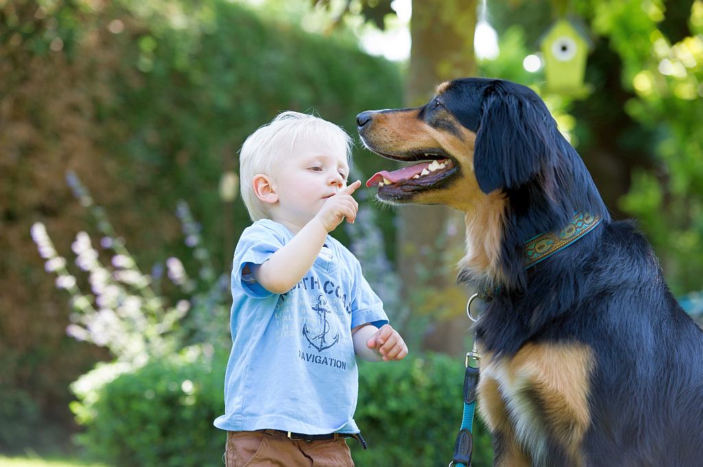 Richtige Zahnpflege beim Hund