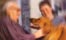 Hunde im Berufsleben:...