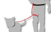 Legleader - und Sie lenken...